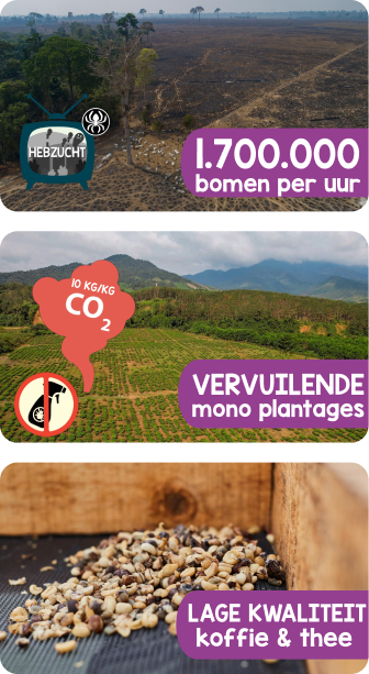 Het resultaat van hebzuchtige keten